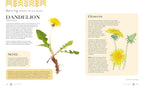 Raíces veneradas: enseñanzas ancestrales y sabiduría de las plantas silvestres, comestibles y medicinales