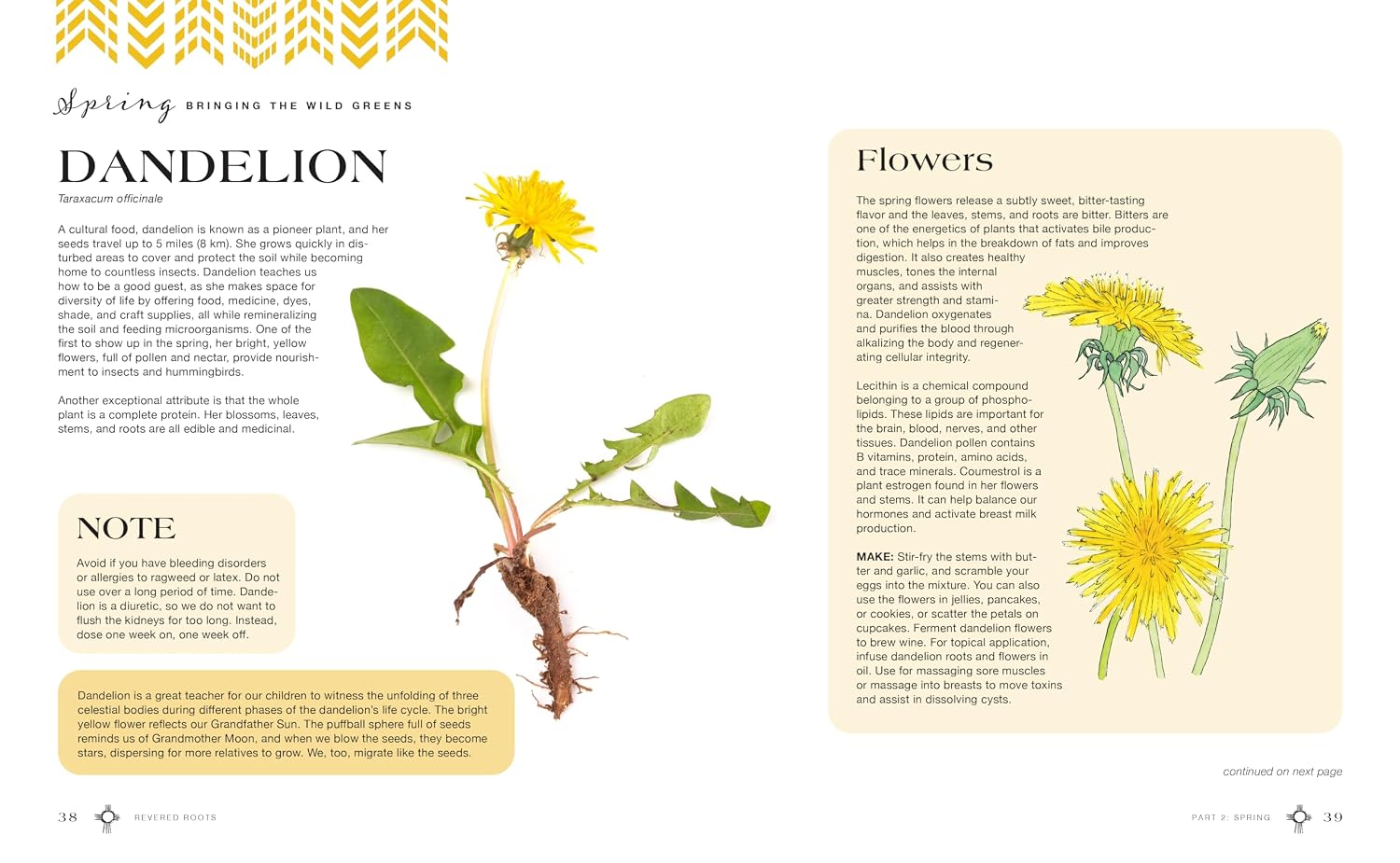 Raíces veneradas: enseñanzas ancestrales y sabiduría de las plantas silvestres, comestibles y medicinales