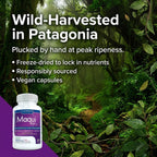Cápsulas de Extracto Puro de Baya de Maqui (500 mg, 30 cápsulas)