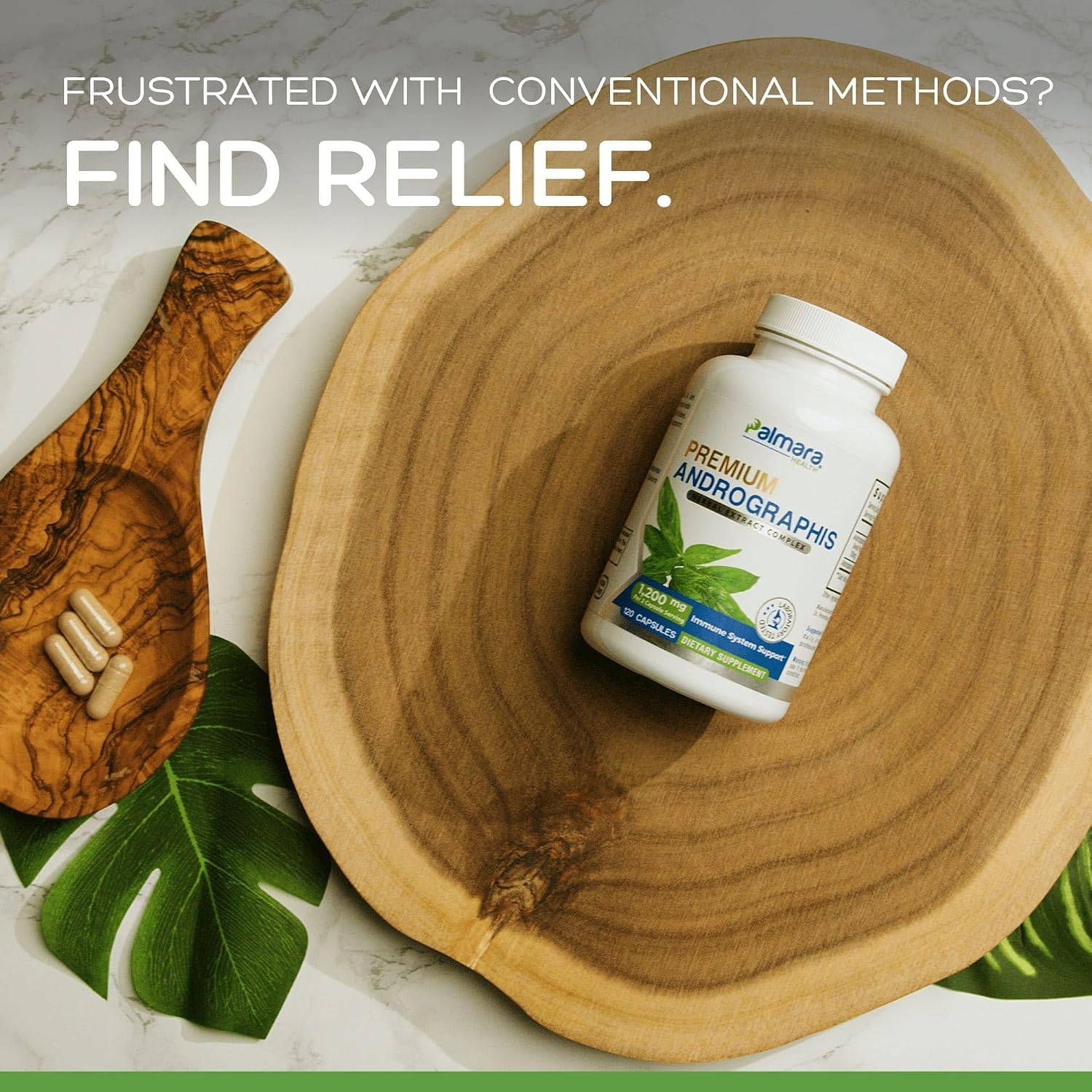 Andrographis Paniculata Extract 1,200mg con 100mg Andrografólidos - Cápsulas Veganas
