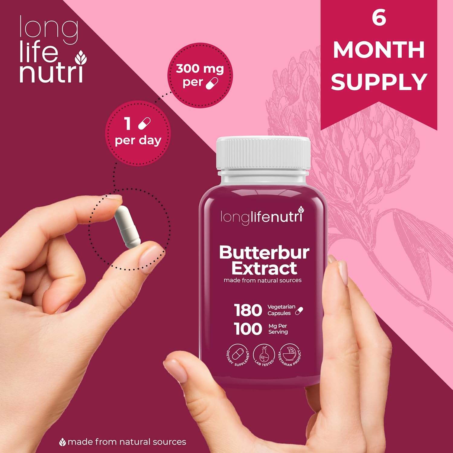 Extracto de Petasites (Butterbur) 100mg - 180 Cápsulas Vegetales - LongLifeNutri