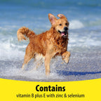 Vetzyme Dog B+E 200 comprimidos