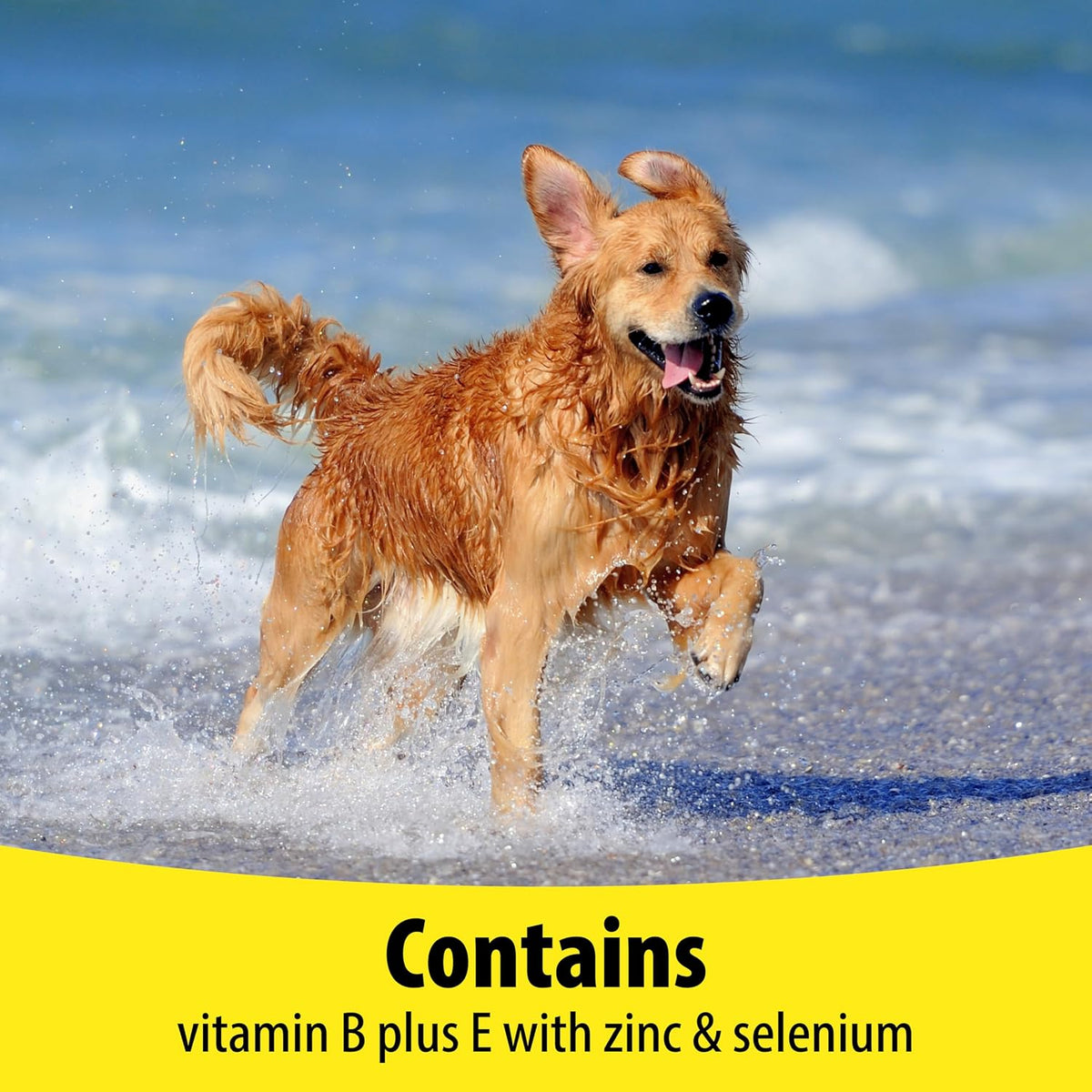 Vetzyme Dog B+E 200 comprimidos – Perros mayores : que pueden tener una absorción reducida de vitaminas. – Image 6