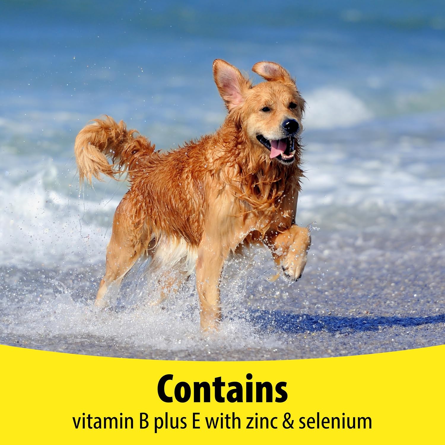 Vetzyme Dog B+E 200 comprimidos