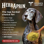 HerbAprin - Alivio Natural para Perros con Hierbas Orgánicas, 90 Servicios (85g)