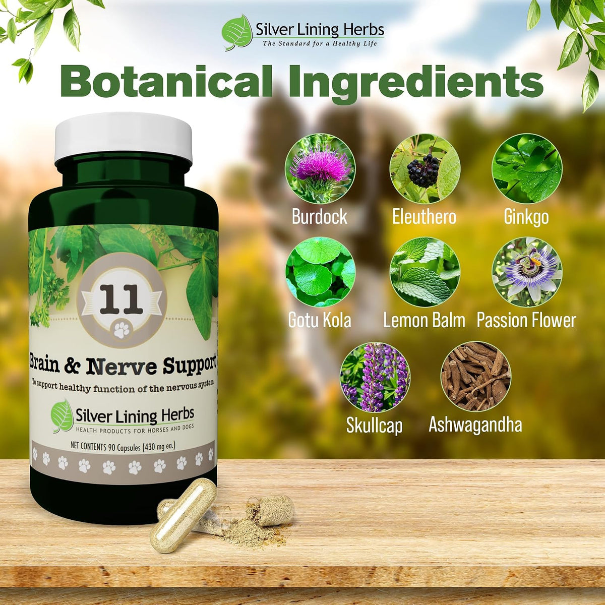 Silver Lining Herbs Complemento Cerebral y – Bardana y Kelp : promueven una conexión intestino-cerebro saludable, – Image 3