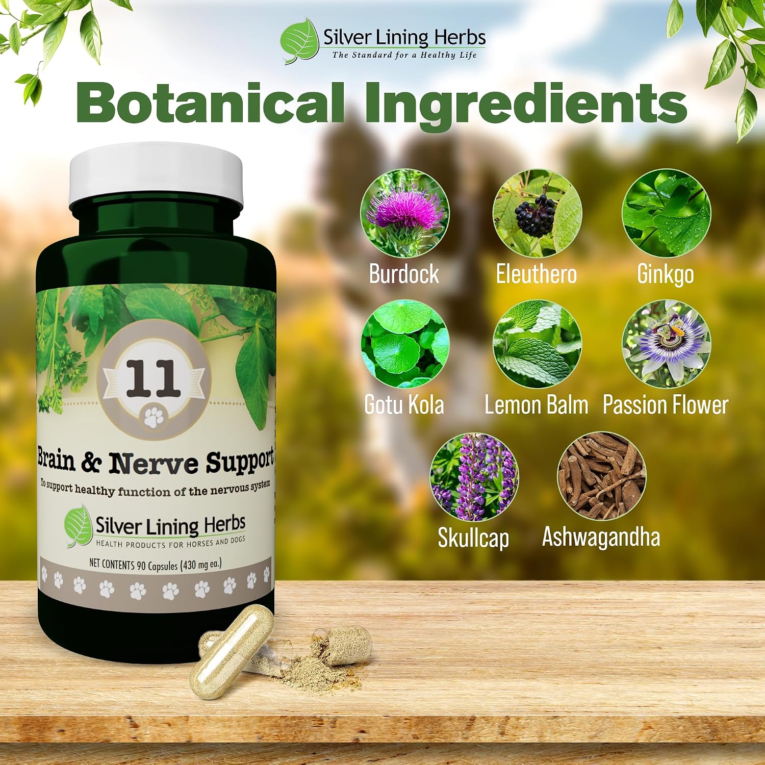 Silver Lining Herbs Suplemento cerebral y nervioso para perros - 90 Cápsulas