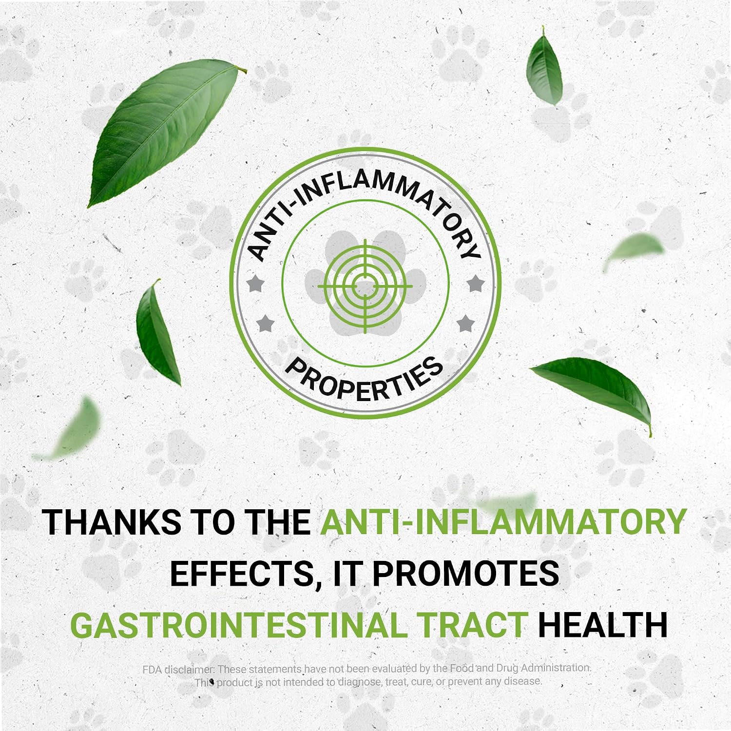 Wolf's Digestion | Extracto herbal natural para perros | Apoyo digestivo | 60 ml