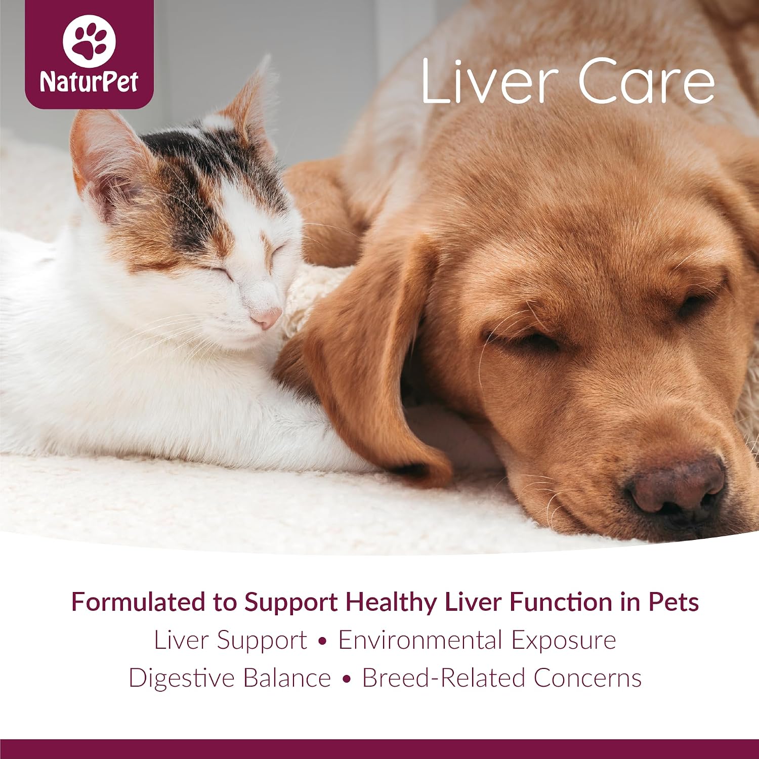 Arrowleaf Pet Liver Care para Perros y Gatos | Tintura Herbal de Cardo Mariano | 100 mL