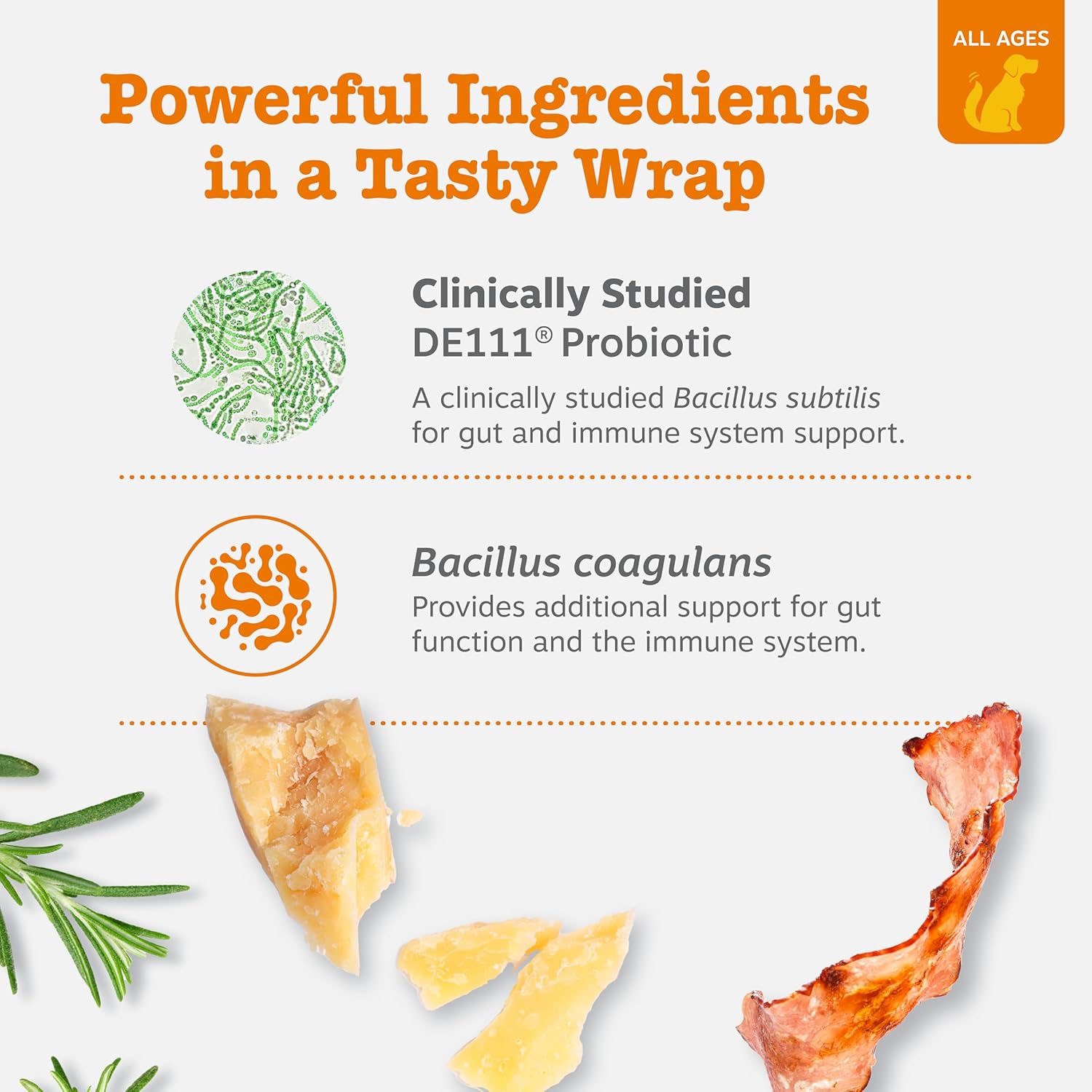 Zesty Paws Pasta de Probióticos para Perros – Sabor a Bacon – con Bacillus subtilis DE111 – 4.2 oz (60 porciones)