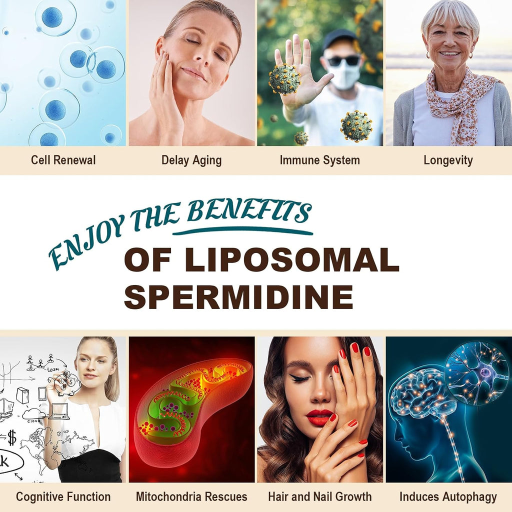 Spermidina 15 mg – 99% Pureza, Alta Absorción – 1500 mg Extracto de Germen de Trigo Fermentado con Zinc y Tiamina – 60 Softgels