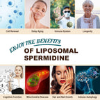 Spermidina 15 mg – 99% Pureza, Alta Absorción – 1500 mg Extracto de Germen de Trigo Fermentado con Zinc y Tiamina – 60 Softgels