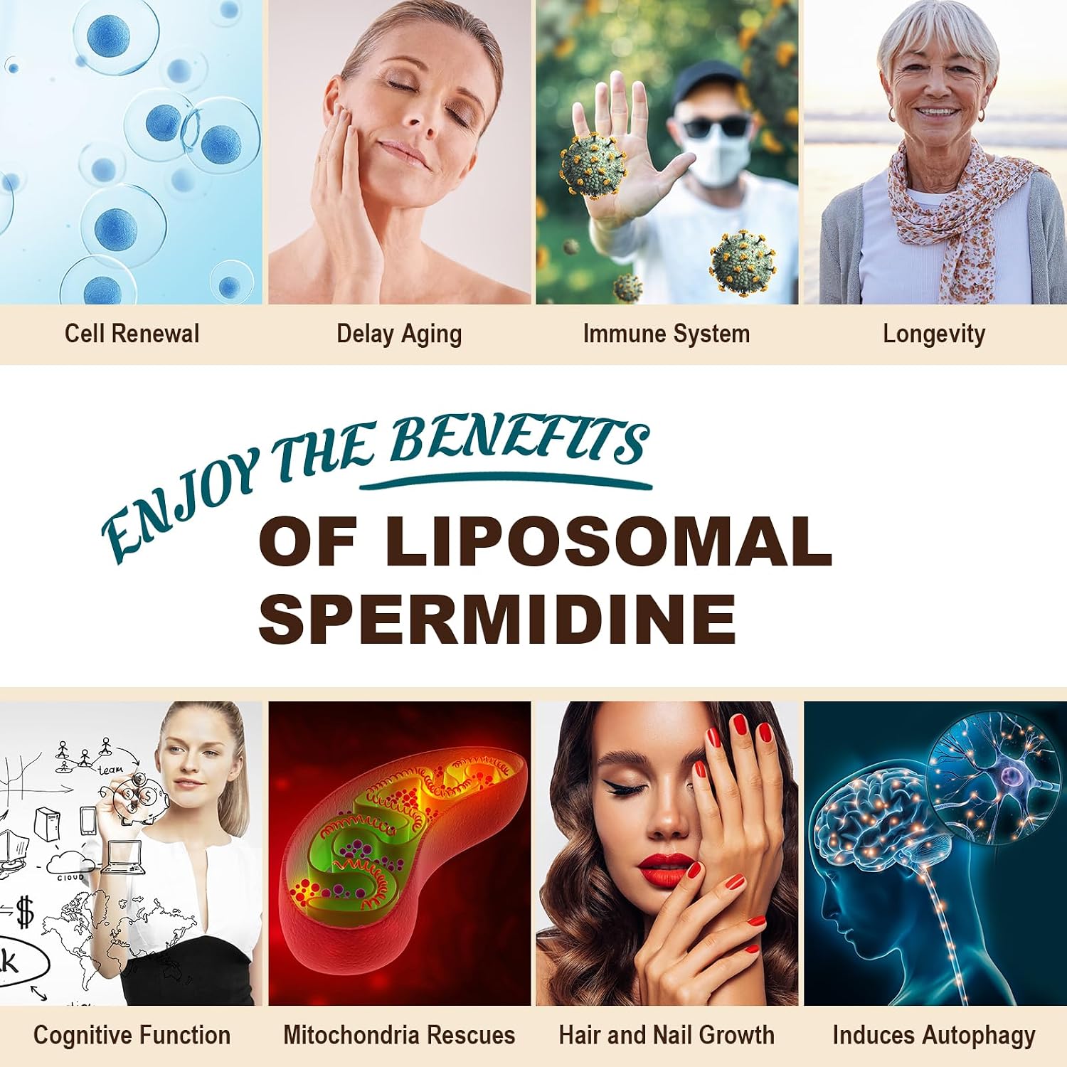 Spermidina 15 mg – 99% Pureza, Alta Absorción – 1500 mg Extracto de Germen de Trigo Fermentado con Zinc y Tiamina – 60 Softgels