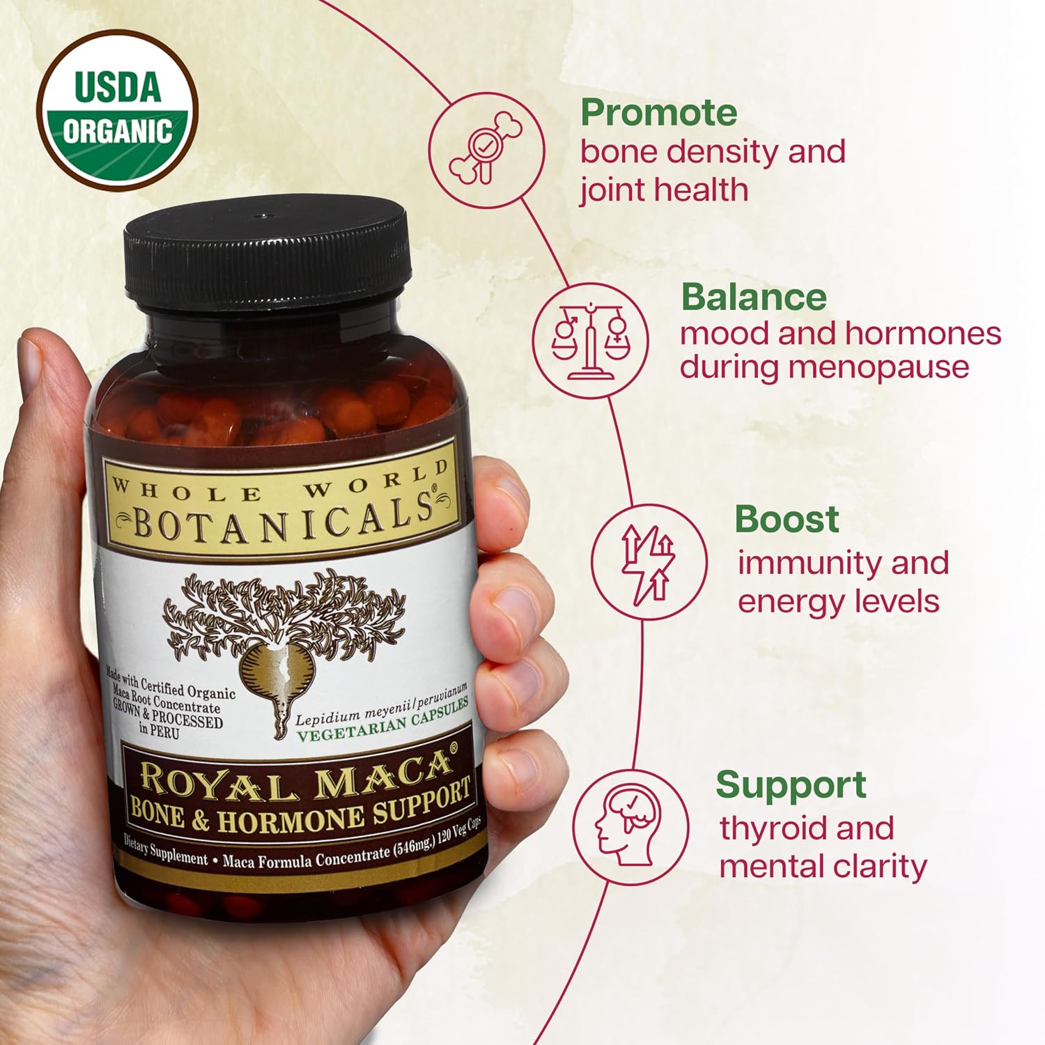 Whole World Botanicals Maca Real Soporte Óseo