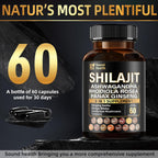 SoundHealth Shilajit Cápsulas - 60 Cápsulas, Suplemento Multivitamínico y Mineral, Sin Gluten, No GMO