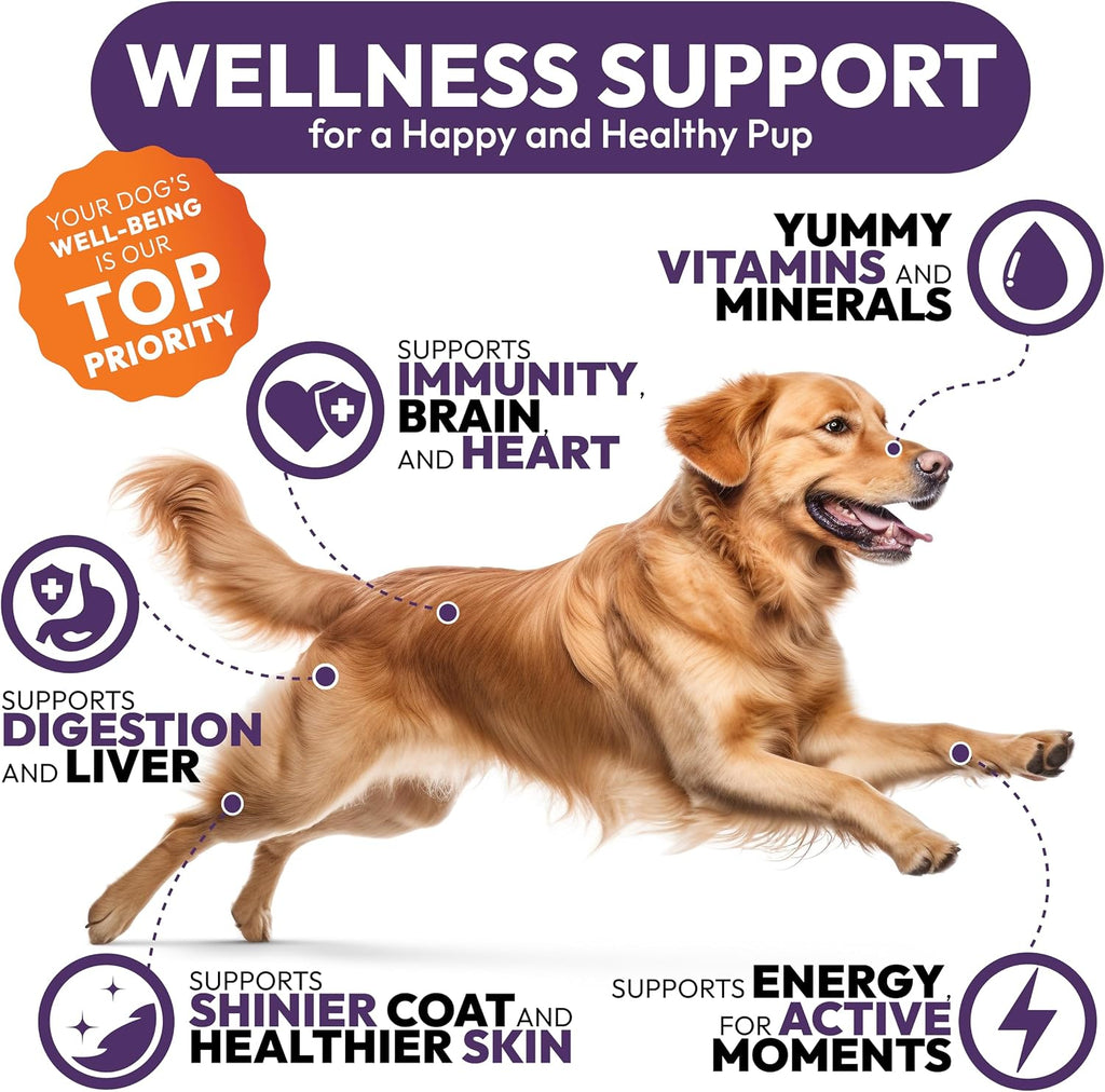 Petsology Multivitamínico Masticable para Perros - 170 Comprimidos - con Glucosamina y Condroitina