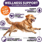 Petsology Multivitamínico Masticable para Perros - 170 Comprimidos - con Glucosamina y Condroitina