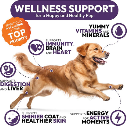 Petsology Multivitamínico Masticable para Perros - 170 Comprimidos - con Glucosamina y Condroitina – Image 4