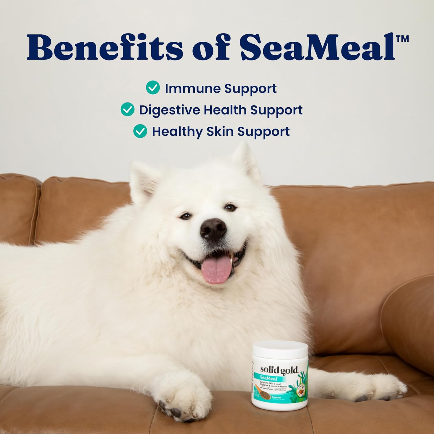Solid Gold SeaMeal Probiótico y Multivitamínico para Perros y Gatos - Polvo de Kelp con Prebióticos y Enzimas Digestivas - 227 g