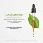 Secrets of the Tribe Alcohol-Free Sassafras Tincture, Sassafras (Sassafras albidum) Dried Root Bark Extract 4 oz
