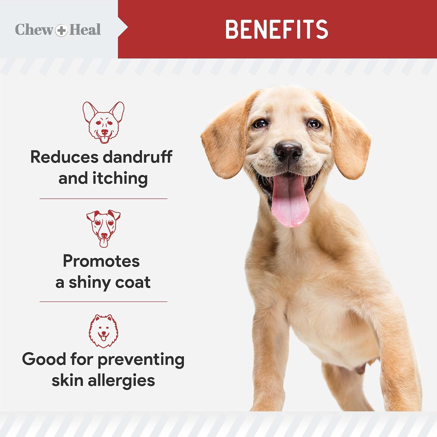 Best Itchy Skin Relief for Dogs - 360 Soft Chew Omega Treats for Skin and Coat - Salmon Oil Blend - 2 Packs of 180, Bacon Flavor