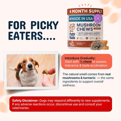 Pets are Kids Turkey Tail Mushroom for Dogs – Shiitake y Maitake: Actúan como prebióticos naturales, favoreciendo – Image 4