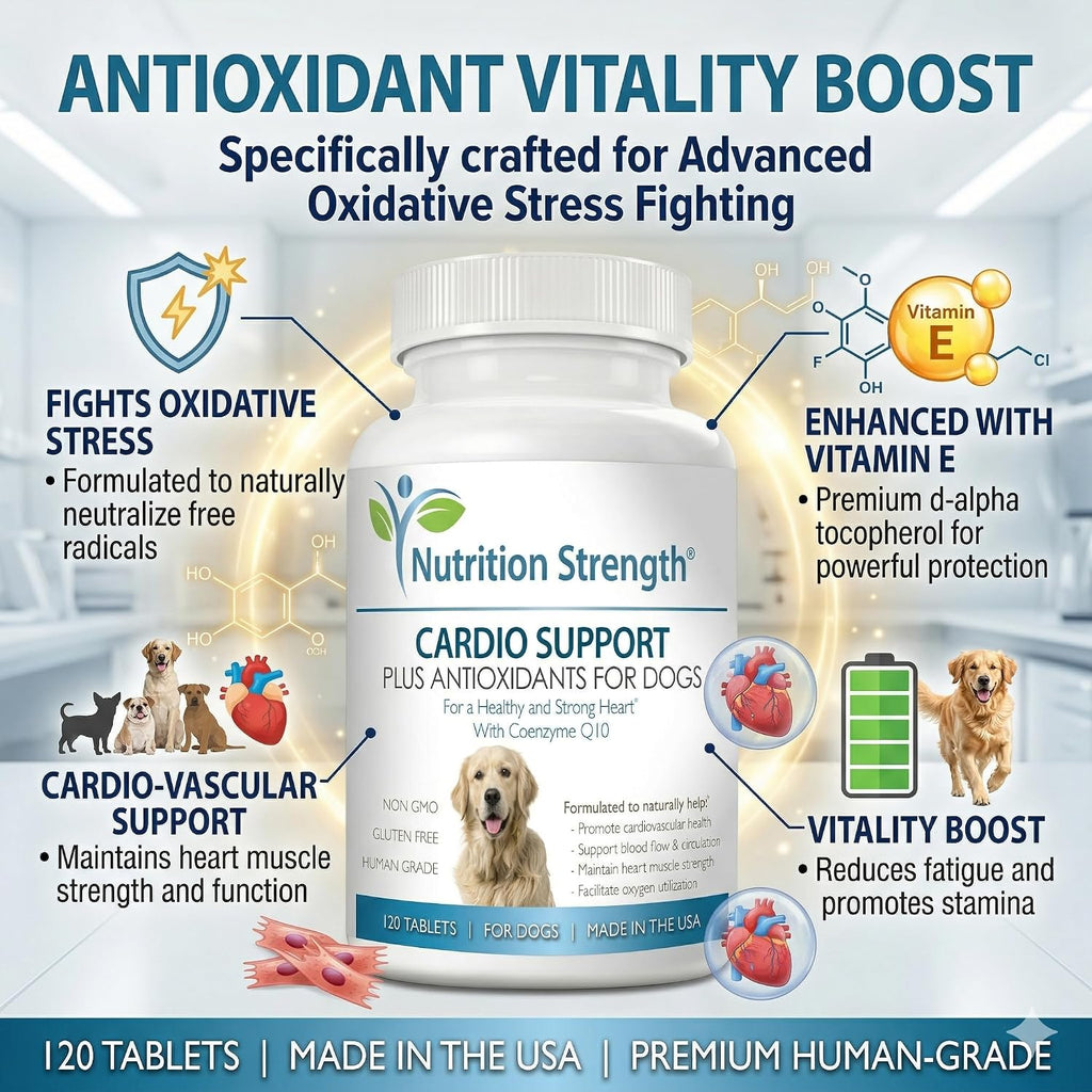 Nutrition Strength Cardio Support for Dogs with Antioxidants, L-Carnitine, L-Taurine, Coenzyme Q10 and Vitamin E, 120 Chewable Tablets