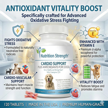 Nutrition Strength Cardio Support para Perros con Antioxidantes, L-Carnitina, L-Taurina, Coenzima Q10 y Vitamina E, 120 – Image 3