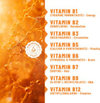 TOLEVITA Parches de Energía con Vitamina B12 - 36 Unidades