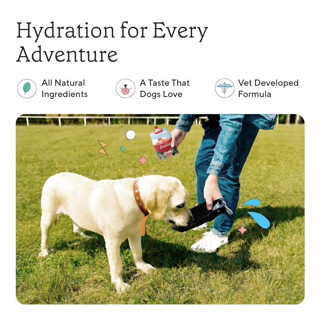 Rallie Agua Hidrogenada para Perros Sabor Manzana y Bacon - Complemento Líquido Multivitamínico con Electrolitos, Glucosamina y Vitaminas B, 6 x 500 ml