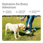 Rallie Agua Hidrogenada para Perros Sabor Manzana y Bacon - Complemento Líquido Multivitamínico con Electrolitos, Glucosamina y Vitaminas B, 6 x 500 ml