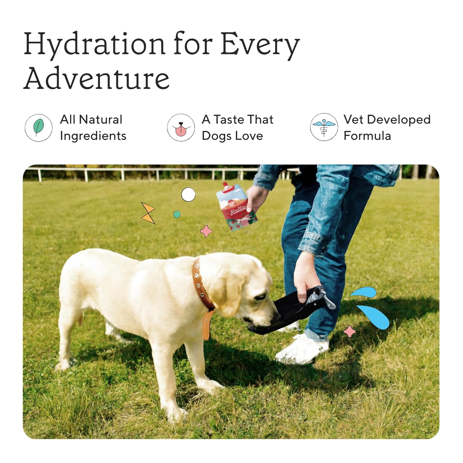 Rallie Agua Hidrogenada para Perros Sabor Manzana y Bacon - Complemento Líquido Multivitamínico con Electrolitos, Glucosamina y Vitaminas B, 6 x 500 ml