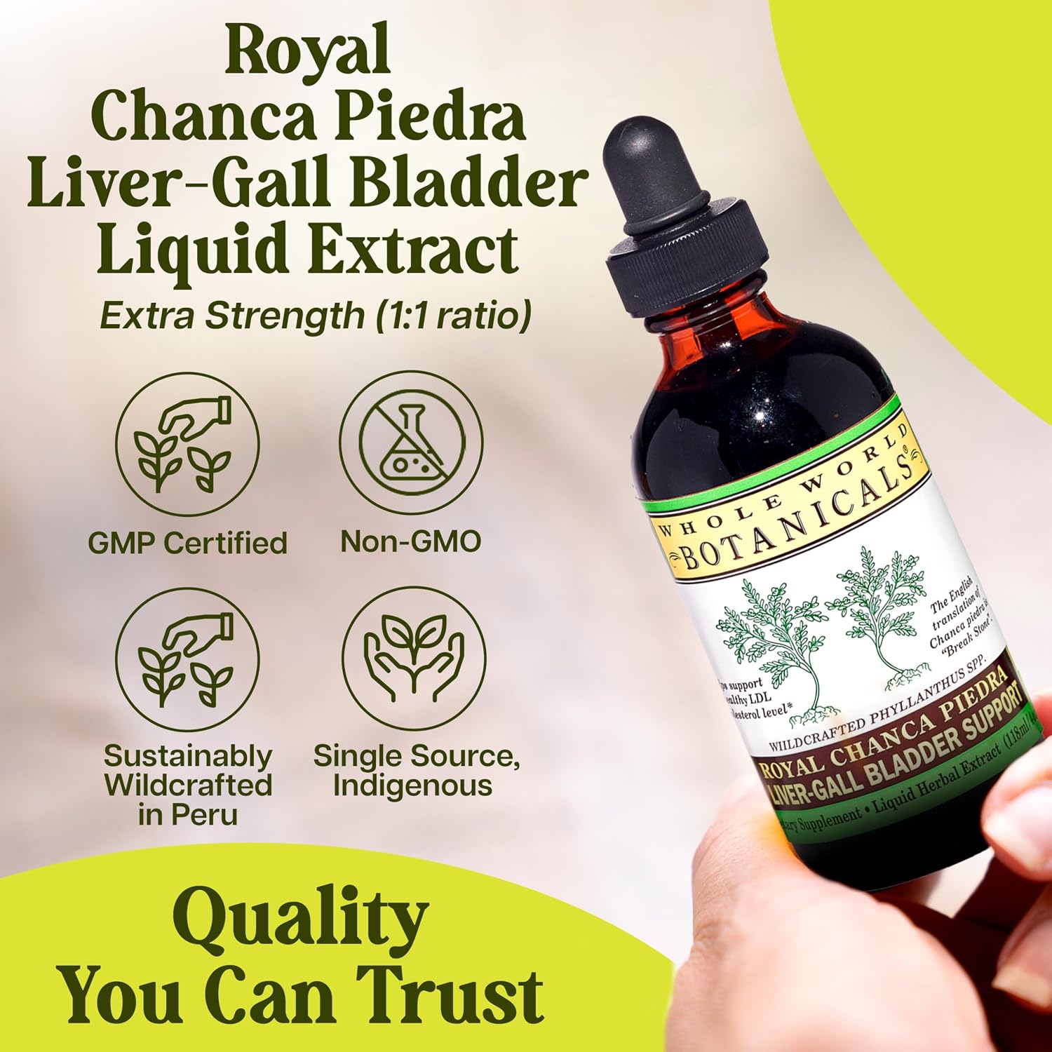 Whole World Botanicals Royal Chanca Piedra – Extracto Líquido 4 oz – Apoyo Hepático y Vesícula
