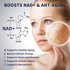 Women's NAD Liquid Supplement, Pure 500mg Liposomal NAD - Cell Regeneration, Energy Support, Vegan, Sugar Free, Additives Free