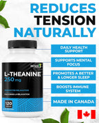 Renew Actives L-Teanina 250 mg – 120 Cápsulas para Relajación y Enfoque