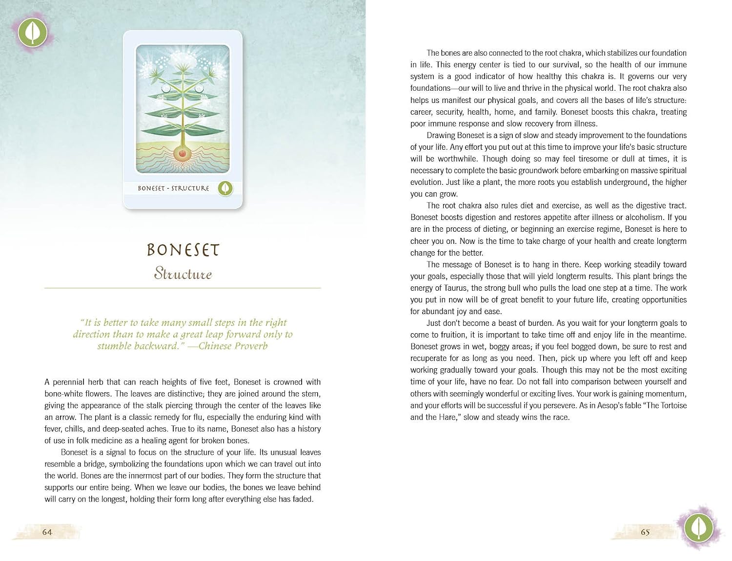 The Herbal Healing Deck: (Oracle Kit Box Set with 48 Cards and Guide Book)