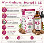 Live Wise Naturals Gotas de Vitamina B12 para Niños - 5mcg por 2 gotas - Vegano, Sin Gluten, No GMO