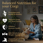 Prestige Breed Multivitaminas para Corgi, Nutrición Equilibrada, 90 unidades, Hecho en EE. UU. con auténtico bacon