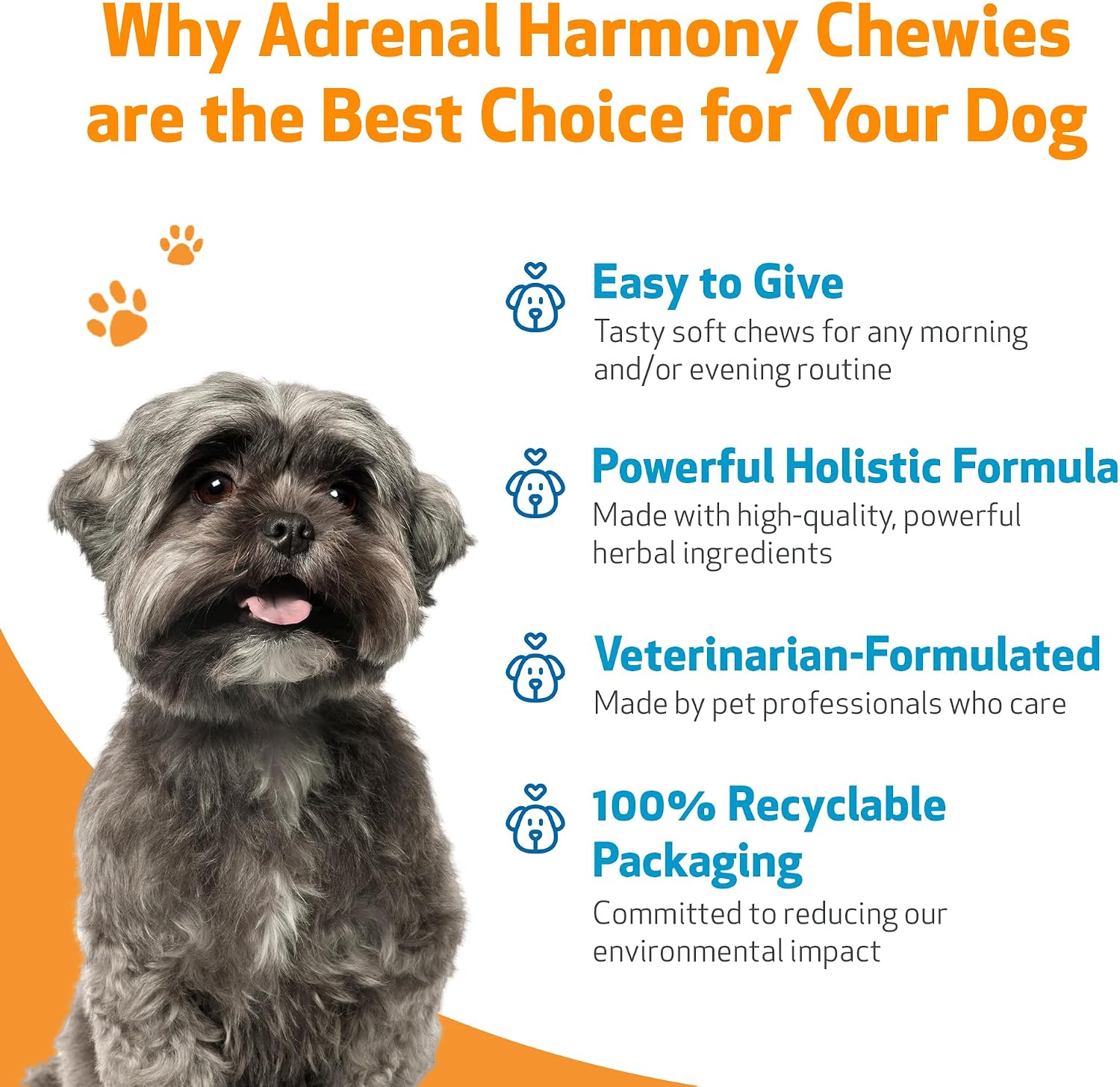 Pet Wellbeing Adrenal Harmony Chewies para Perros - Apoyo Suprarrenal y Equilibrio de Cortisol con Ashwagandha y Bacopa - Certificado NASC y Formulado por Veterinarios - 90 Chews Blandos