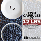 Nootropics Depot Cianidina 3-Glucósido 125mg | 180 Cápsulas | Extracto de Arroz Negro