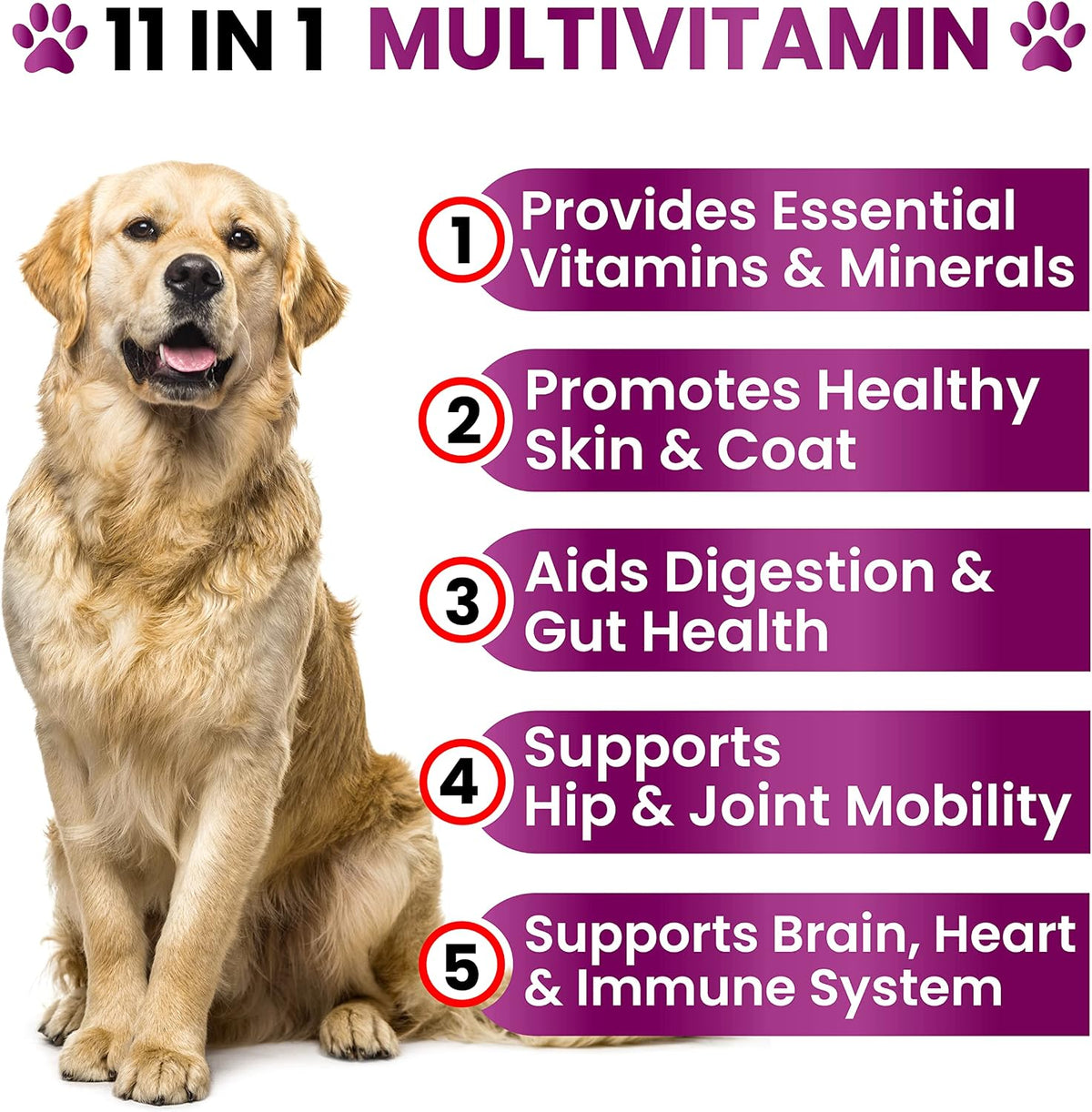 Grateful Pawz Multivitamínico Masticable 11 – 6 cepas probióticas (300 millones de UFC): contribuyen al equilibrio – Image 2
