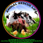 Vegan's Best Friend - Multivitamínico Vegano con Creatina, B12, D3, Zinc y Taurina - 40 Dosis