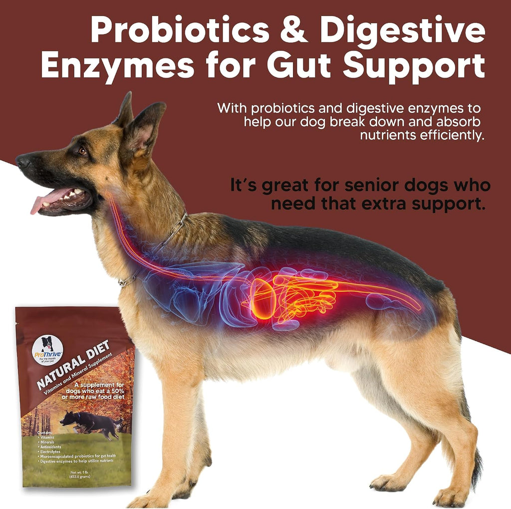 ProThrive Suplemento vitamínico para perros - Dieta natural, 454 g