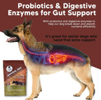 ProThrive Suplemento vitamínico para perros - Dieta natural, 454 g