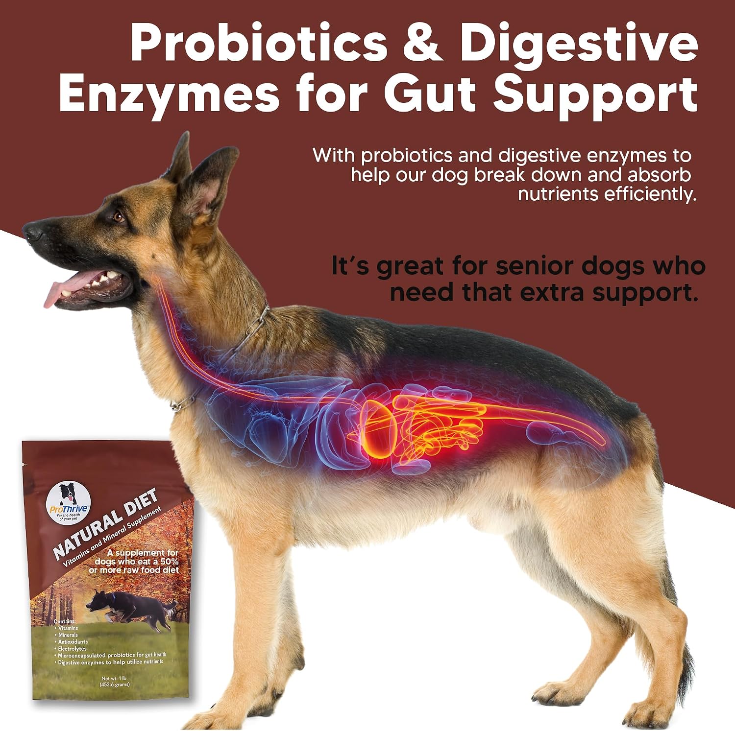ProThrive Suplemento vitamínico para perros - Dieta natural, 454 g