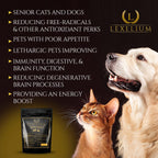 Antioxidante para Perros y Gatos Senior - Polvo 200g