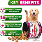 Dog UTI Chews - Masticables de Arándano para Perros - Apoyo Urinario y Vesical