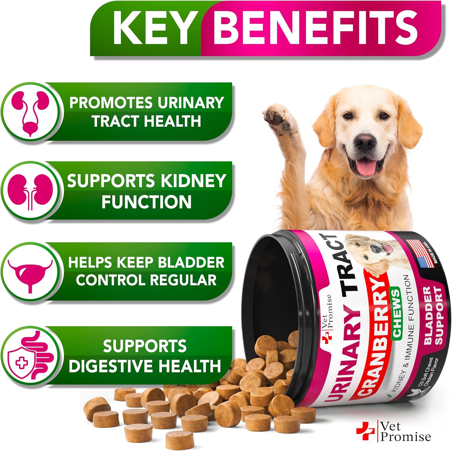 Dog UTI Chews - Masticables de Arándano para Perros - Apoyo Urinario y Vesical