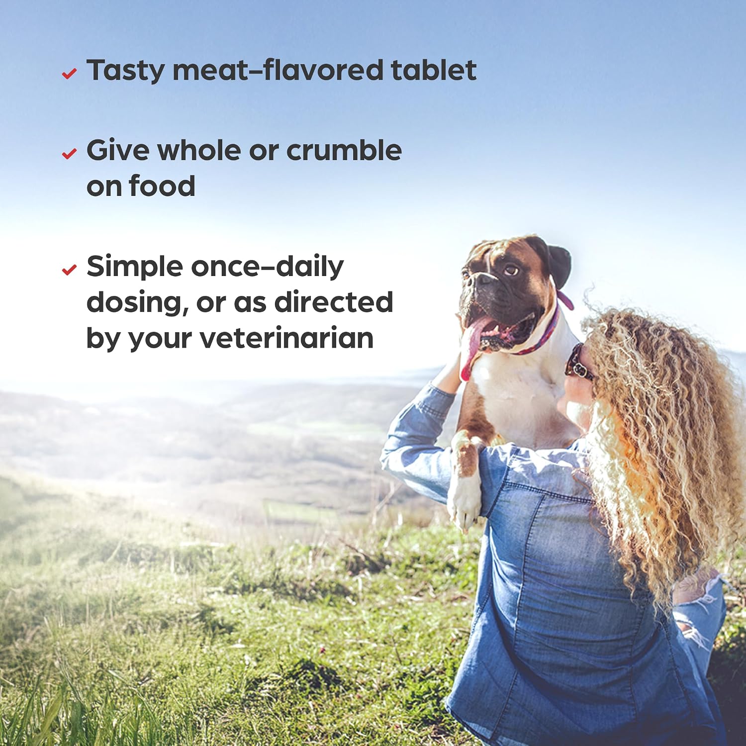 Vi-Sorbits Hierro y Vitaminas Suplemento Diario para Perros, Comprimidos Masticables Sabor a Carne, 200 Unidades