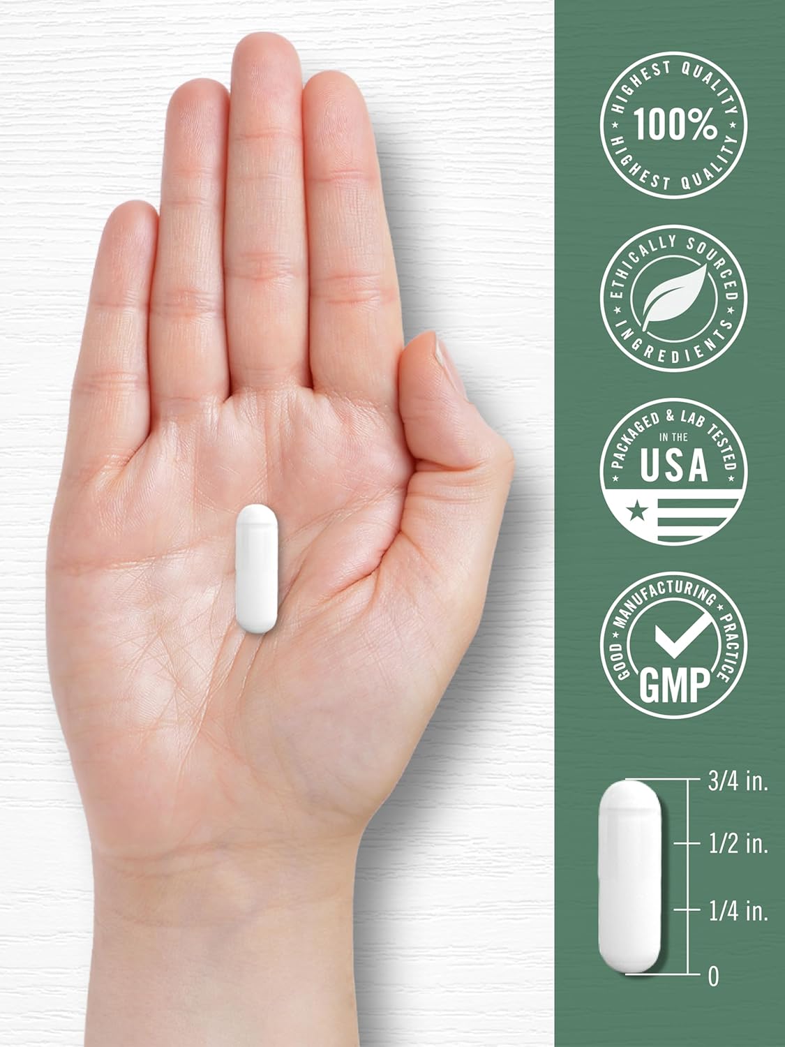 Carlyle Garra del Diablo Suplemento Herbal | 200 Cápsulas | No Transgénico y Sin Gluten